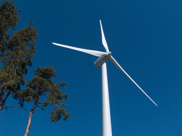 eol_contre-plongée1